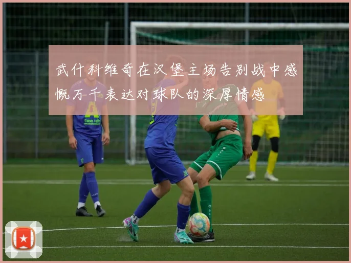 武什科维奇在汉堡主场告别战中感慨万千表达对球队的深厚情感